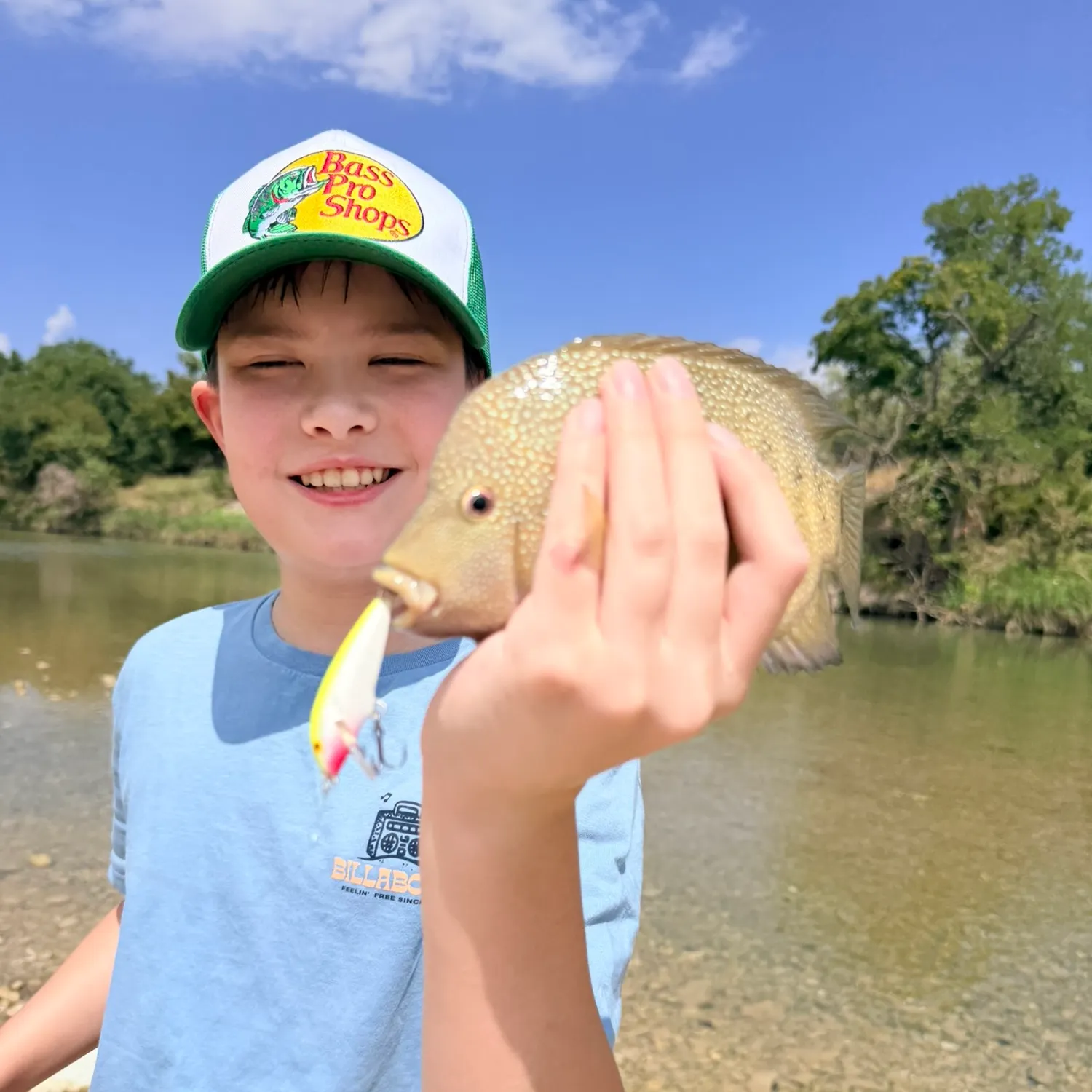 Rio Grande cichlid caught on Fishbrain