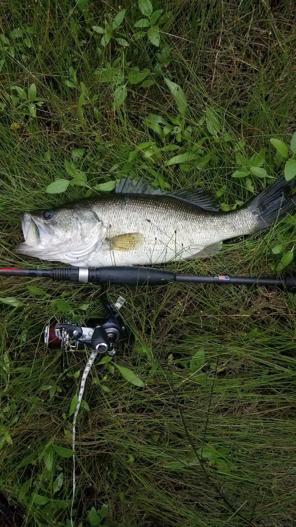 Post image from agraham5897