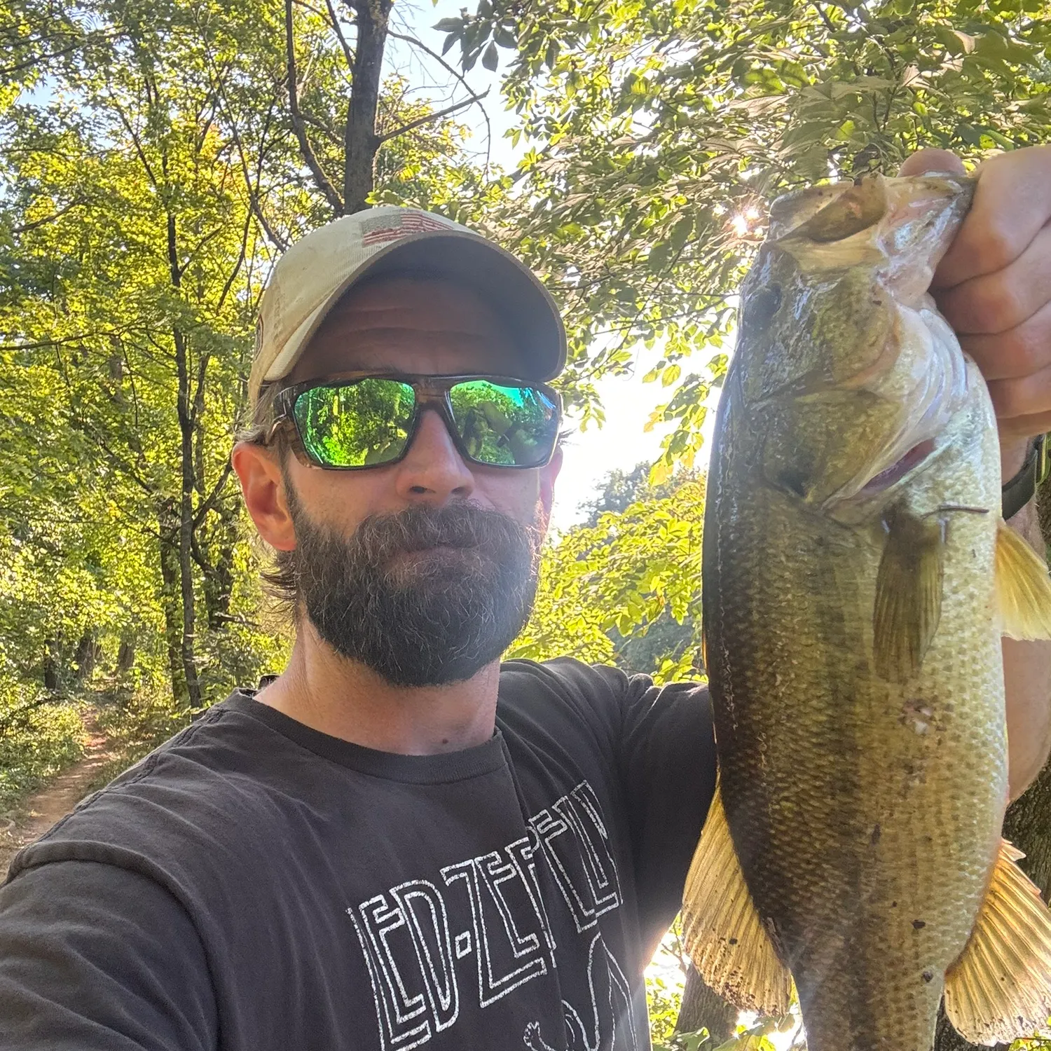 Largemouth bass caught on Fishbrain