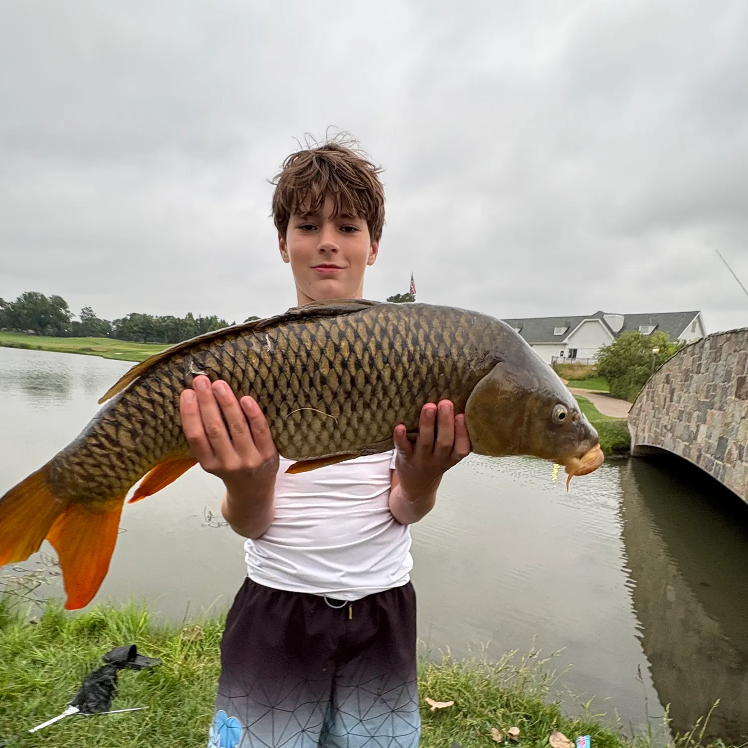 Common carp caught on Fishbrain