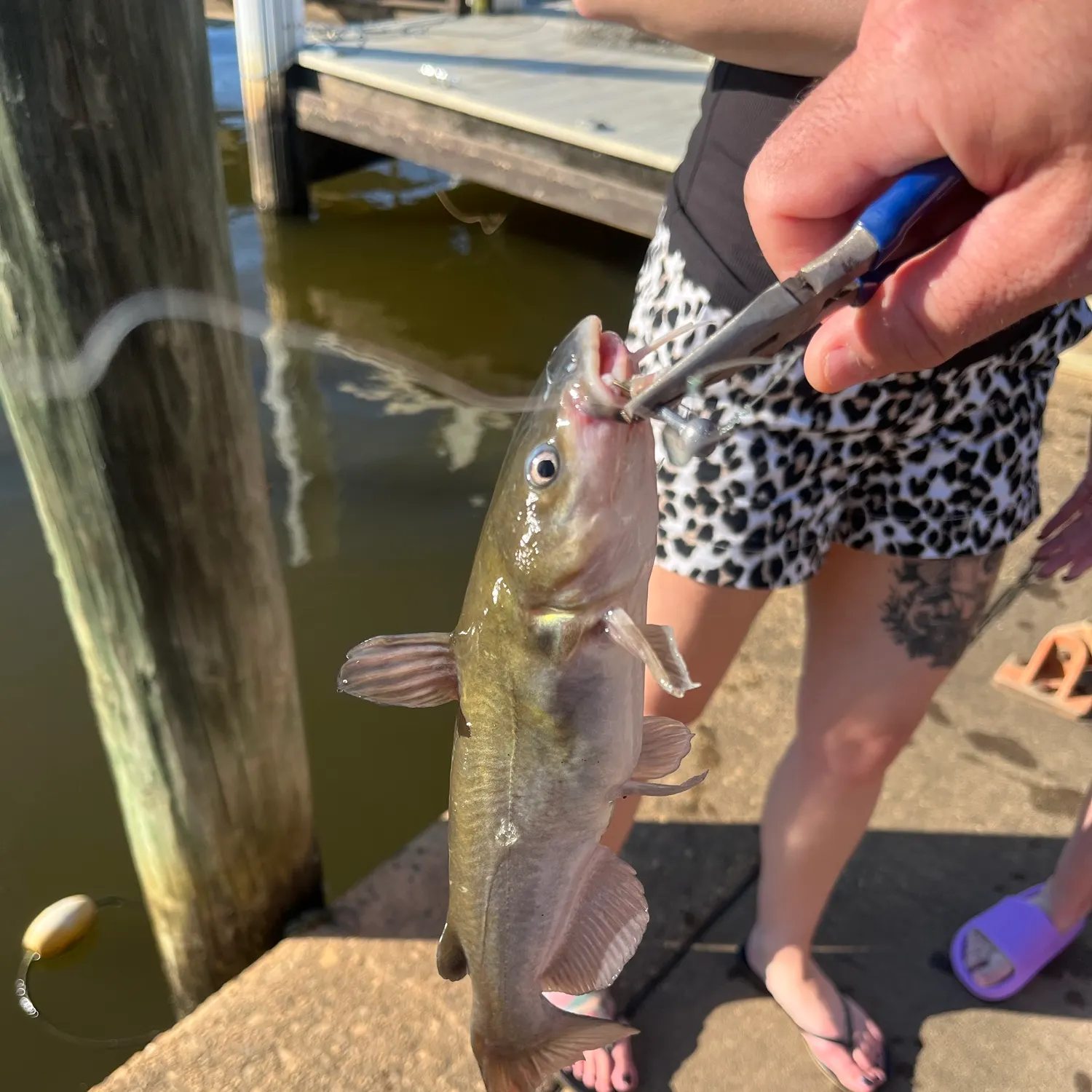 catch