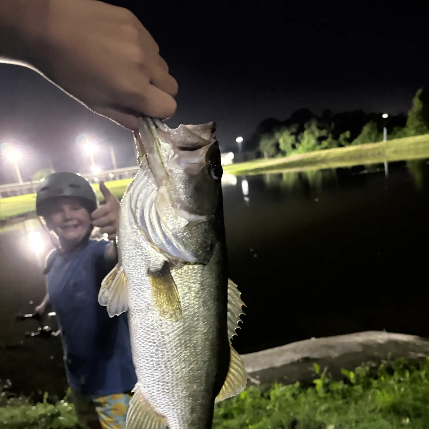 Fish caught on Fishbrain