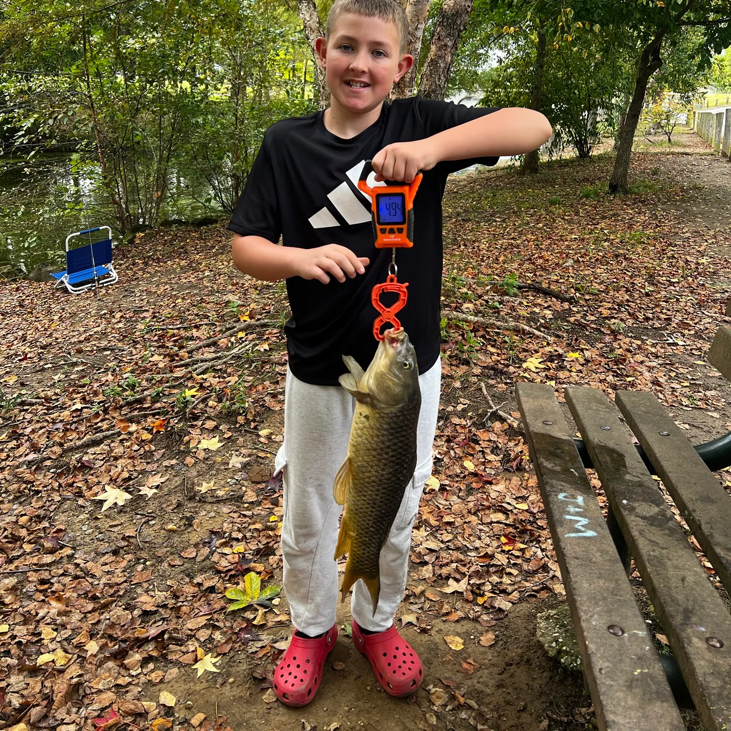 Common carp caught on Fishbrain