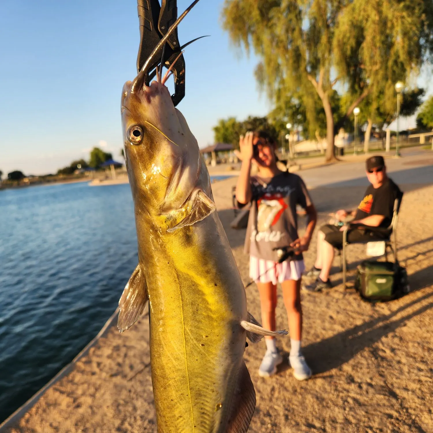 catch