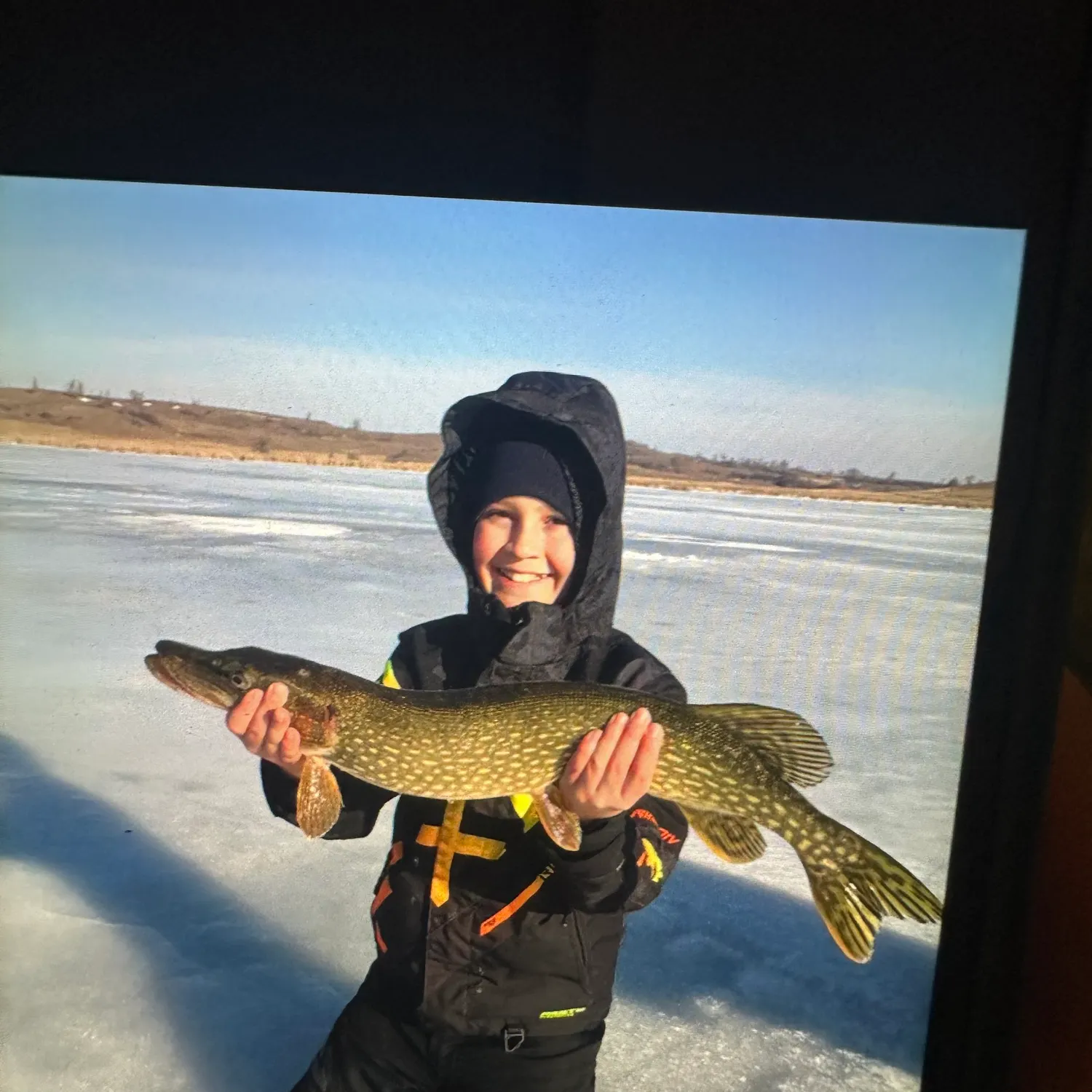 Northern pike caught on Fishbrain