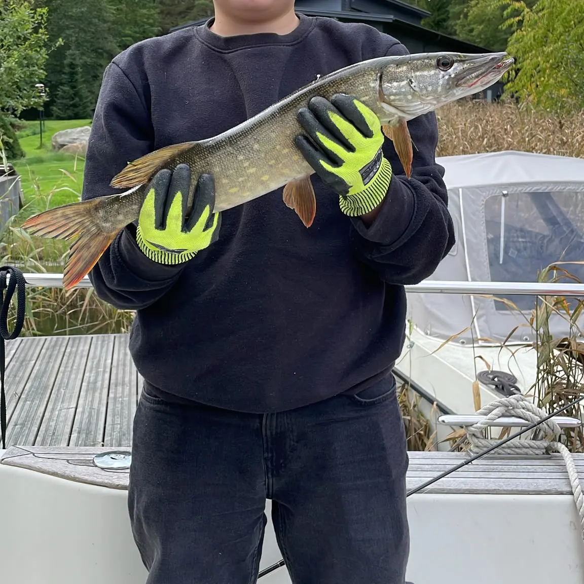 Northern pike caught on Fishbrain