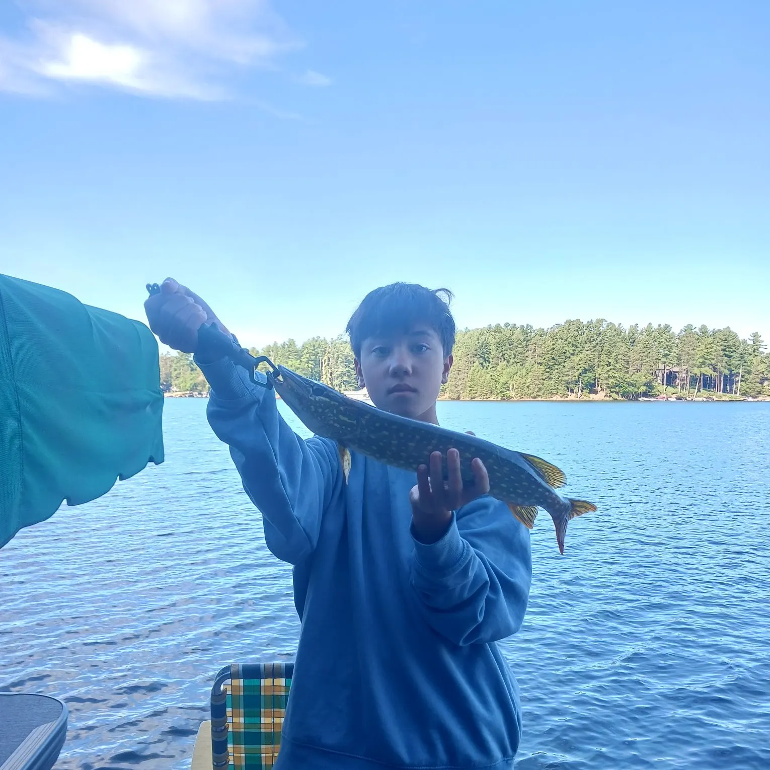 Northern pike caught on Fishbrain