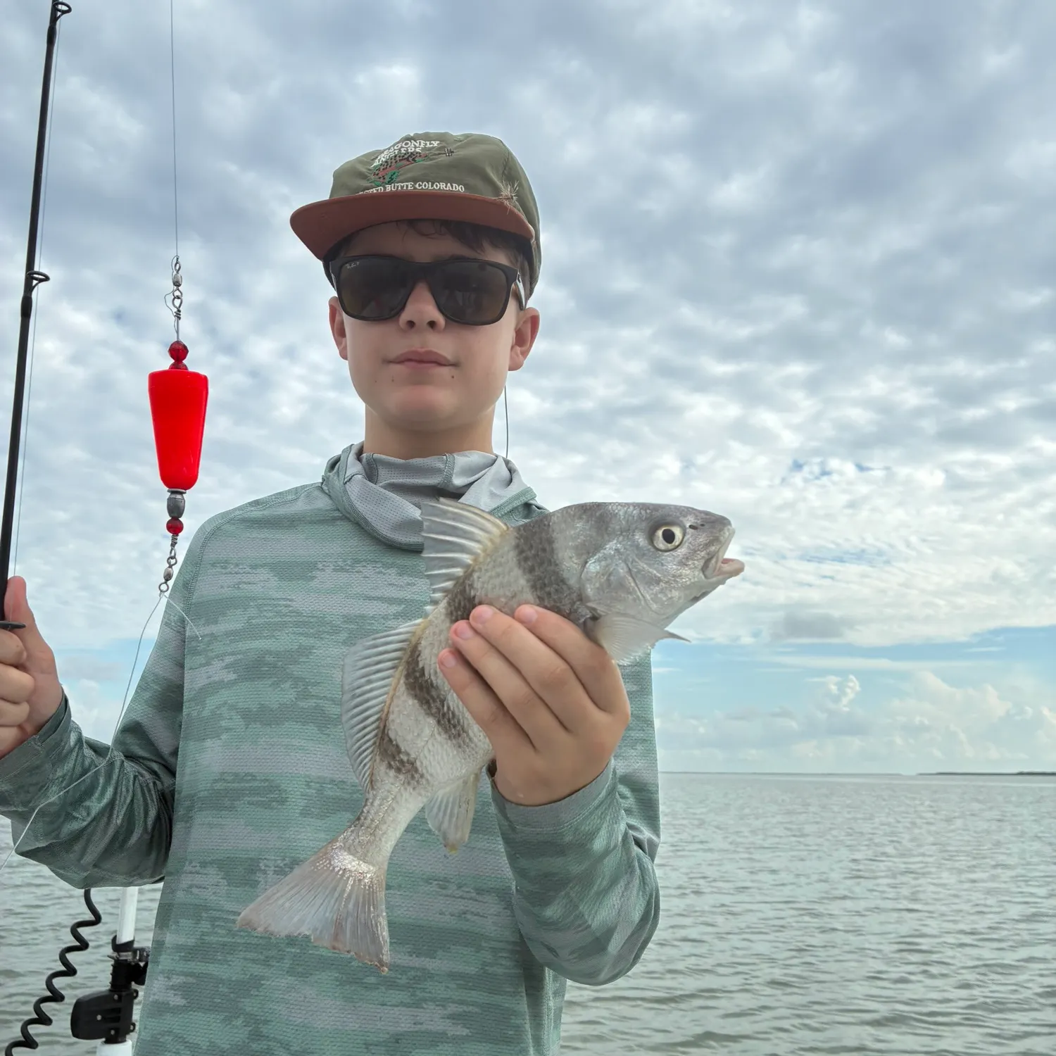Black drum caught on Fishbrain