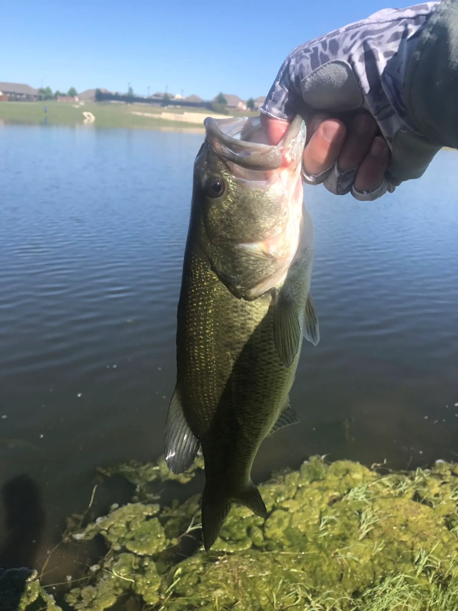 Post image from aosmdavid