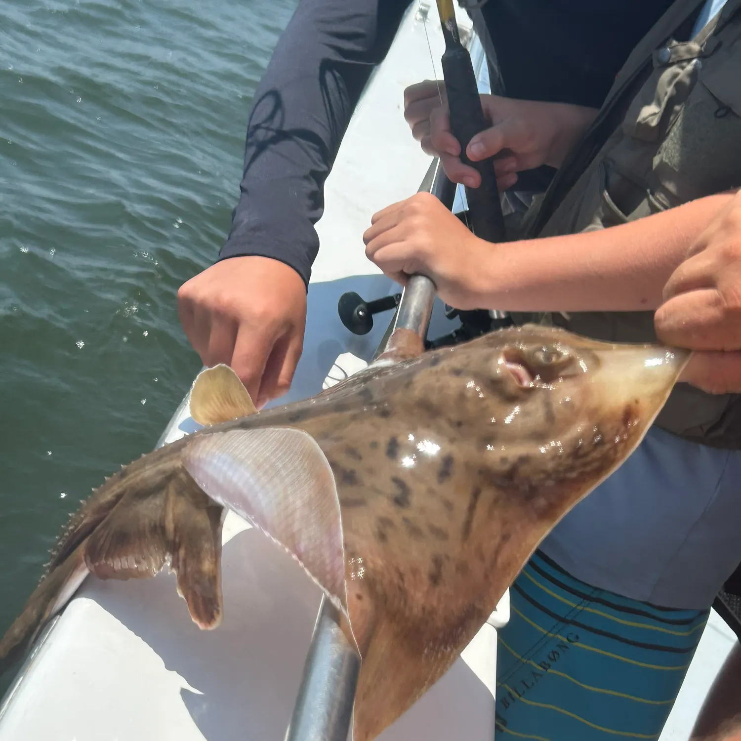 The most recent Starry ray catches on Fishbrain