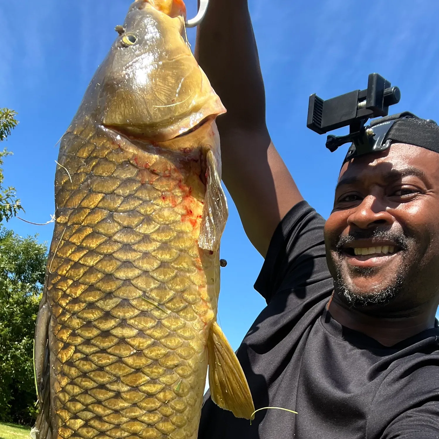 Common carp caught on Fishbrain