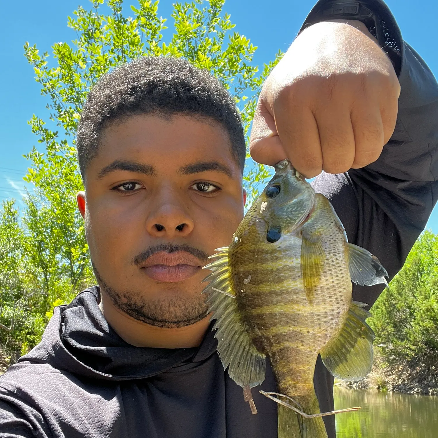 Bluegill caught on Fishbrain