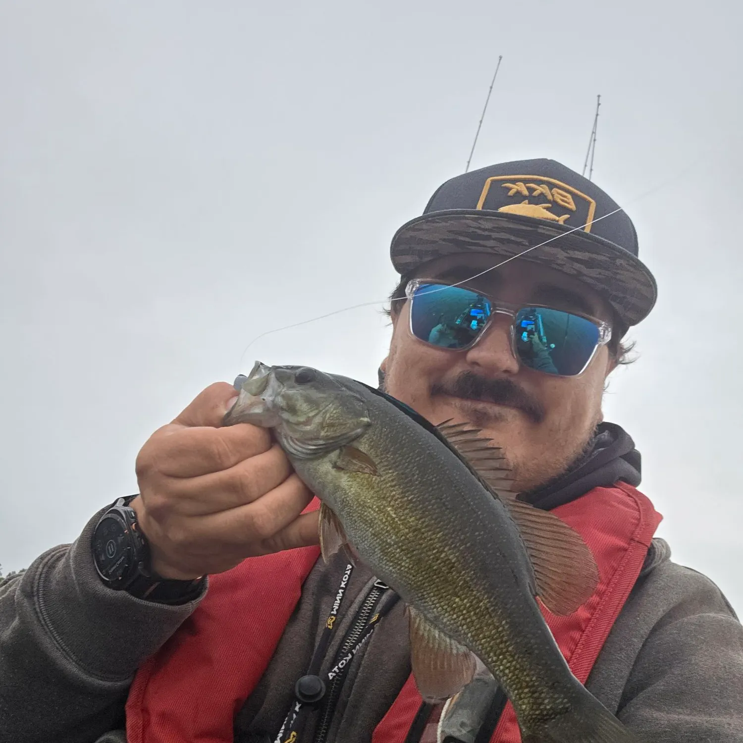 Smallmouth bass caught on Fishbrain