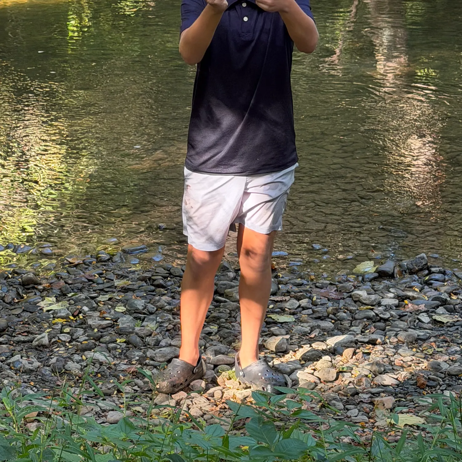 Fallfish caught on Fishbrain
