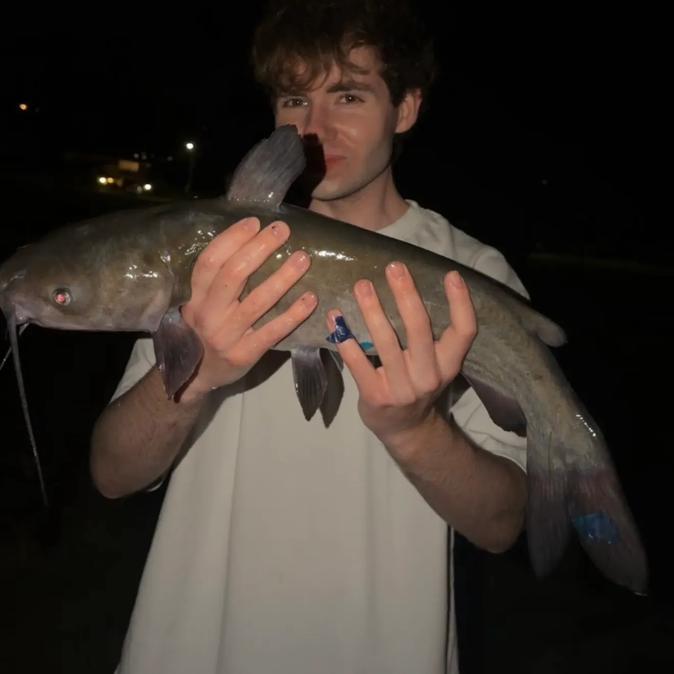 Channel catfish caught on Fishbrain
