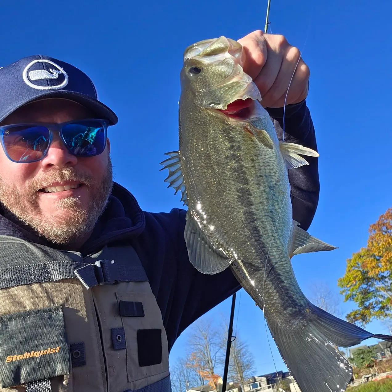 Largemouth bass caught on Fishbrain