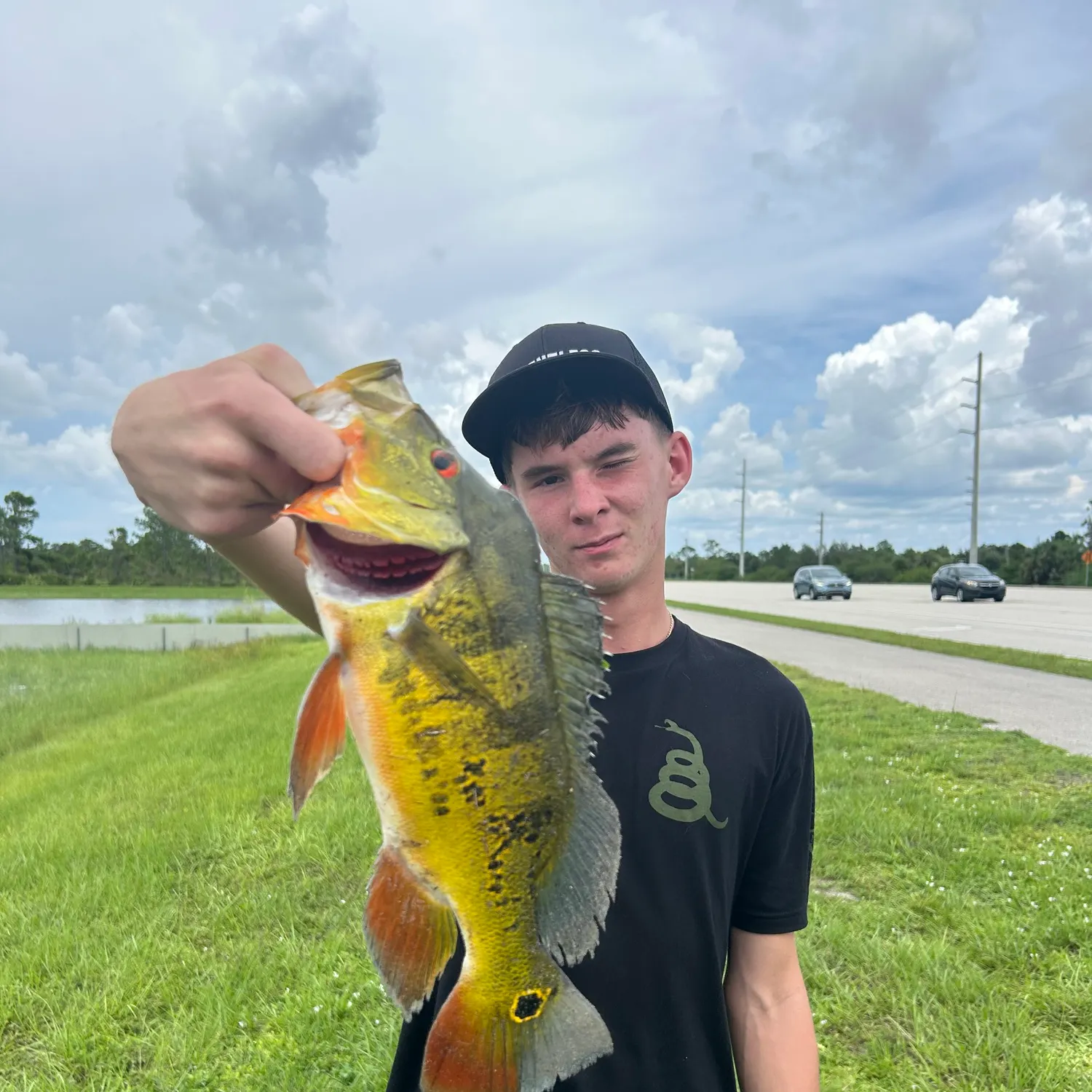 The most recent Butterfly peacock bass catches on Fishbrain