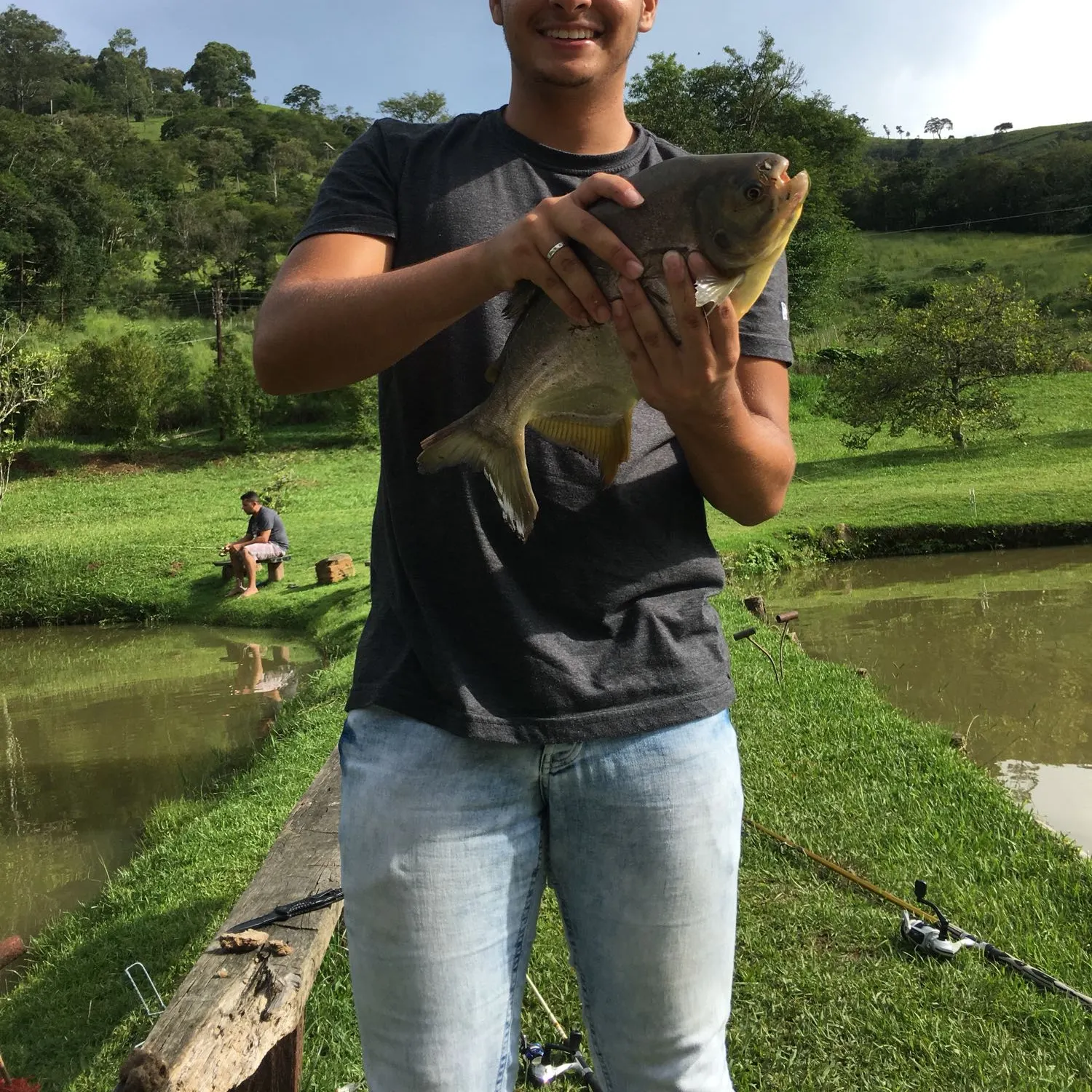 Small-scaled pacu caught on Fishbrain
