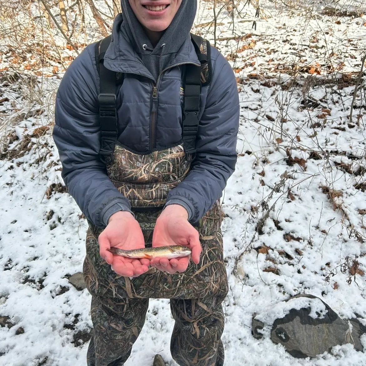 The most recent Brook trout catches on Fishbrain