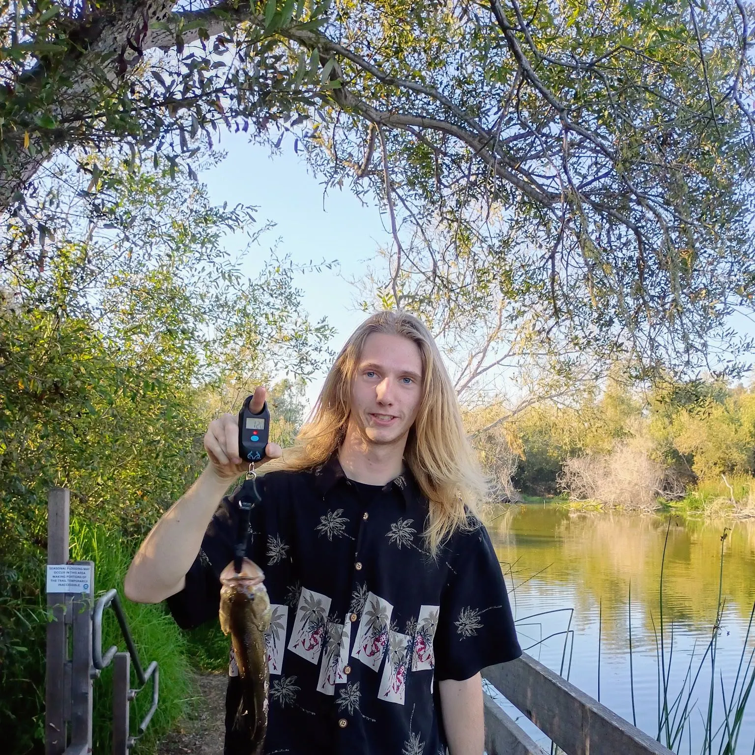 Spotted bass caught on Fishbrain