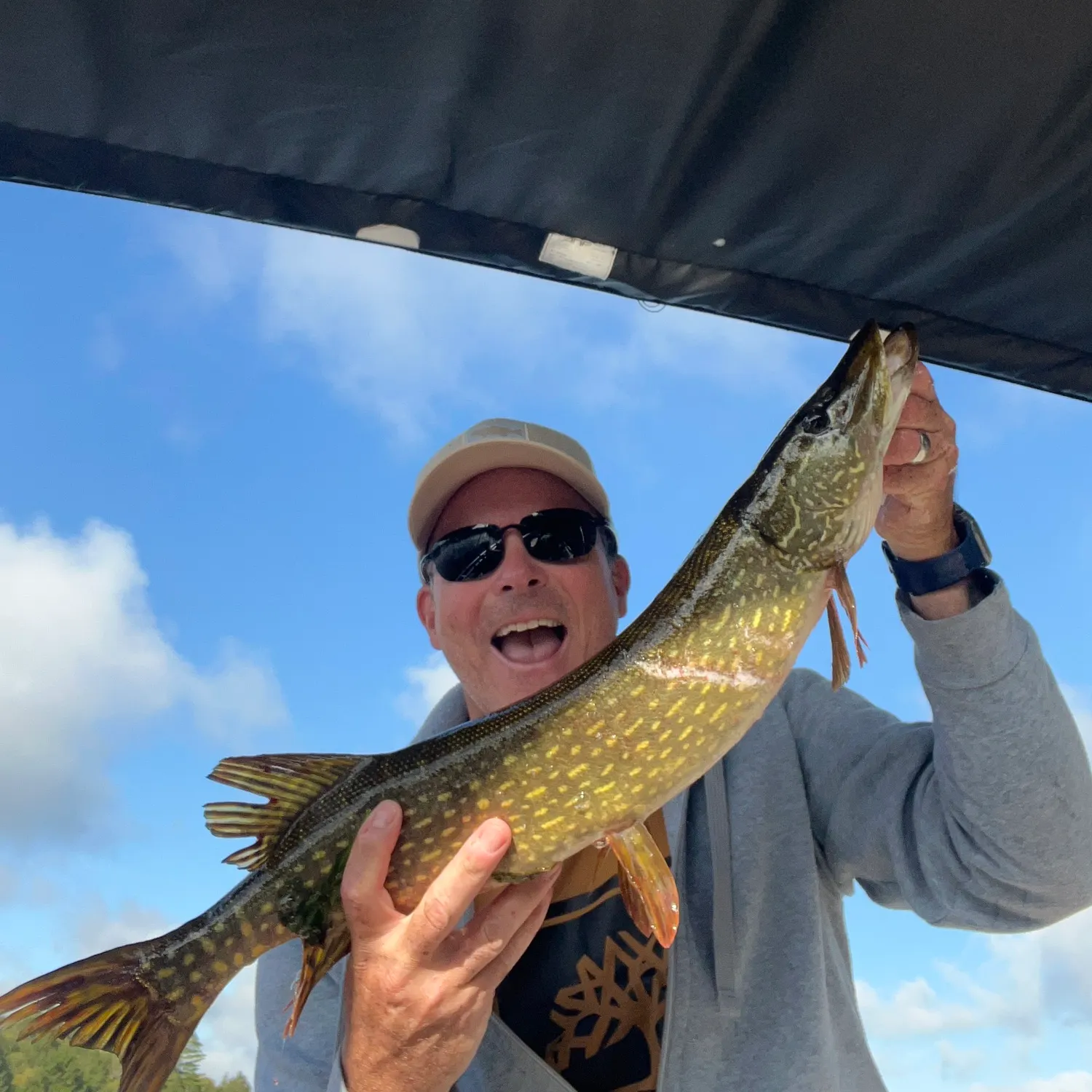 Northern pike caught on Fishbrain
