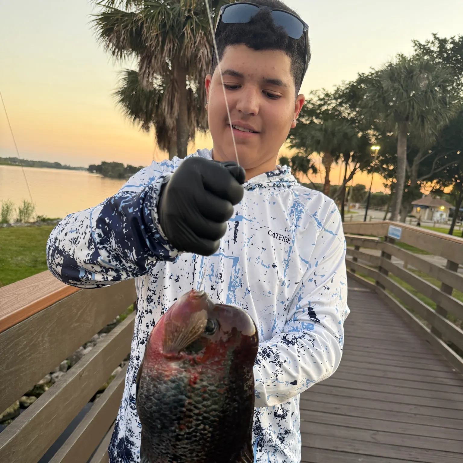 recently logged catches