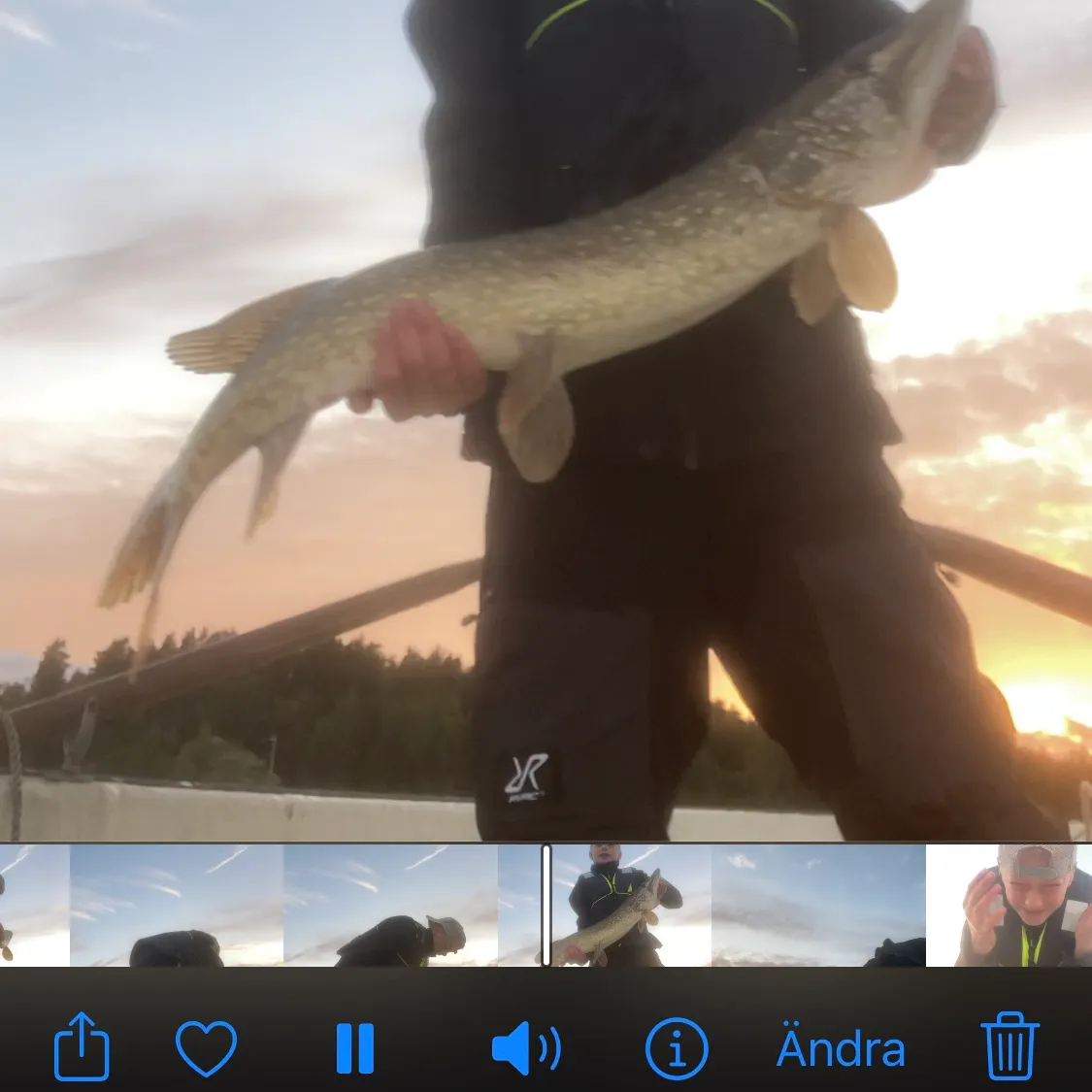 recently logged catches