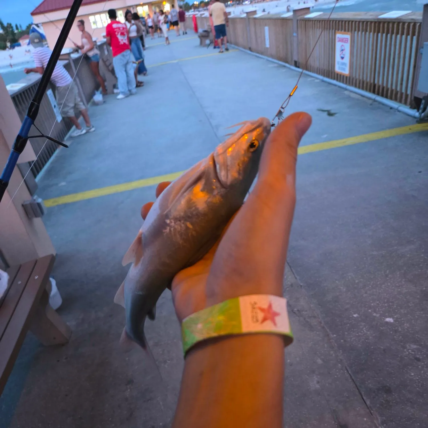 catch