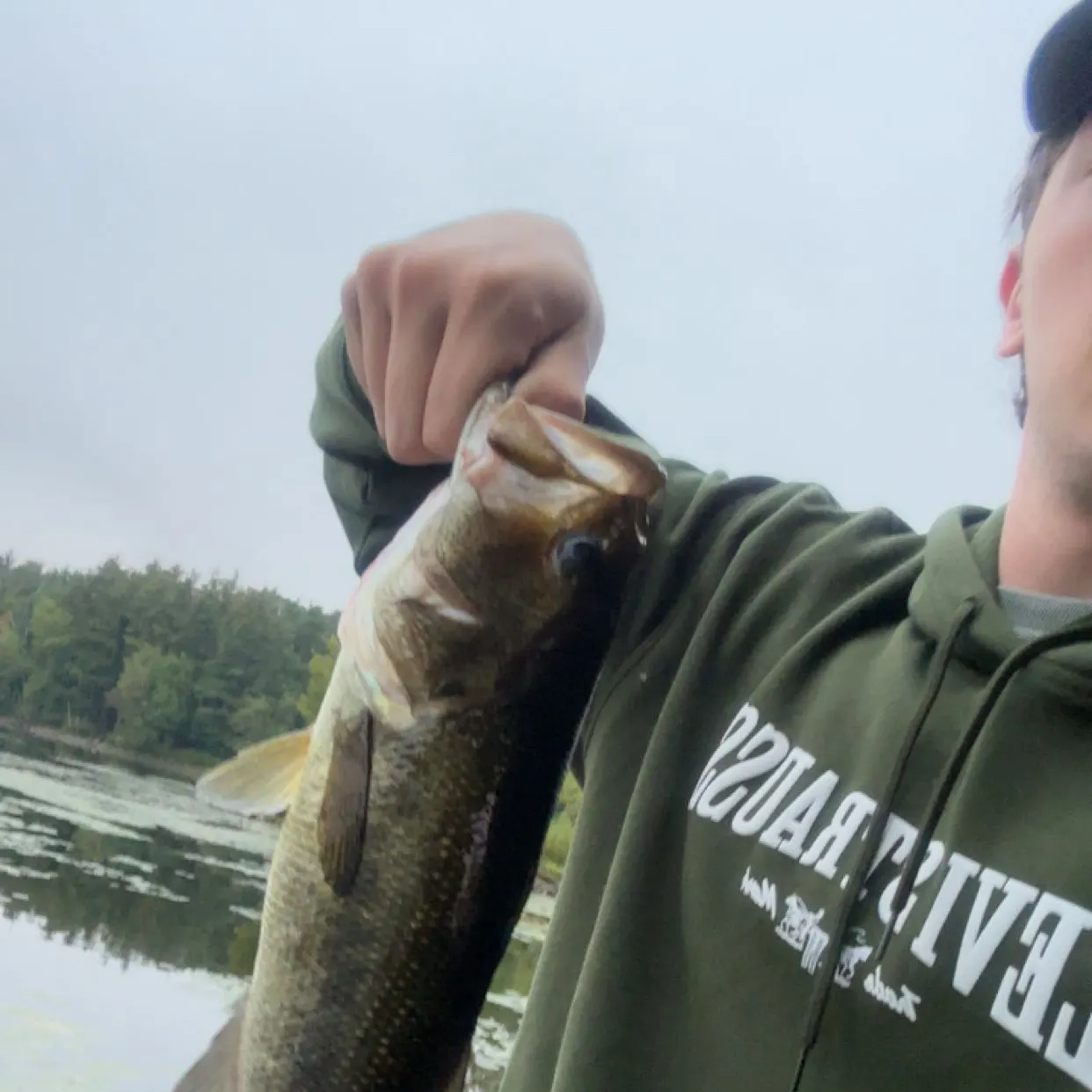Largemouth bass caught on Fishbrain
