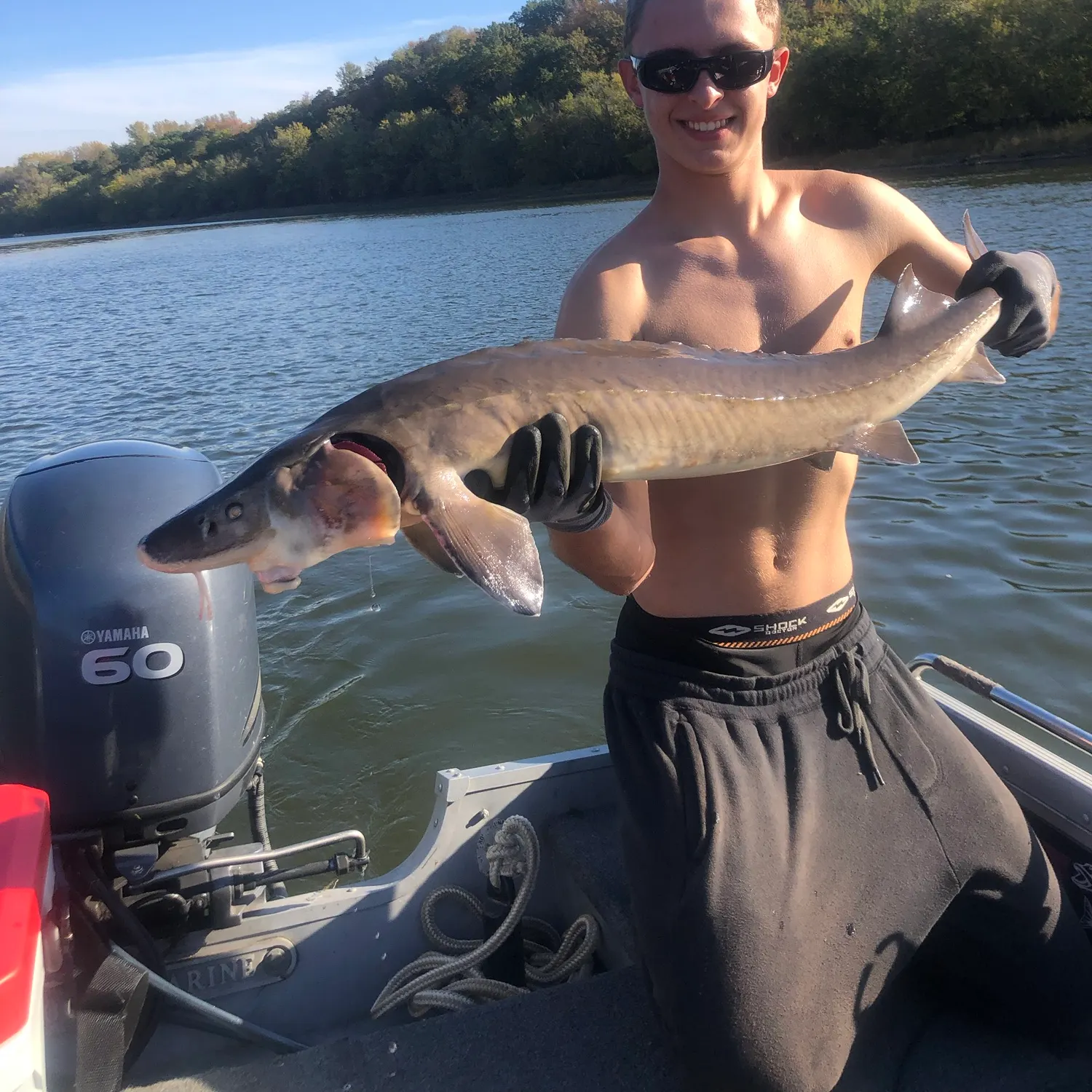 Lake sturgeon caught on Fishbrain