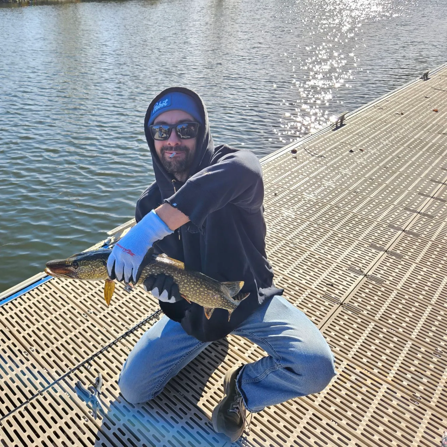 Northern pike caught on Fishbrain