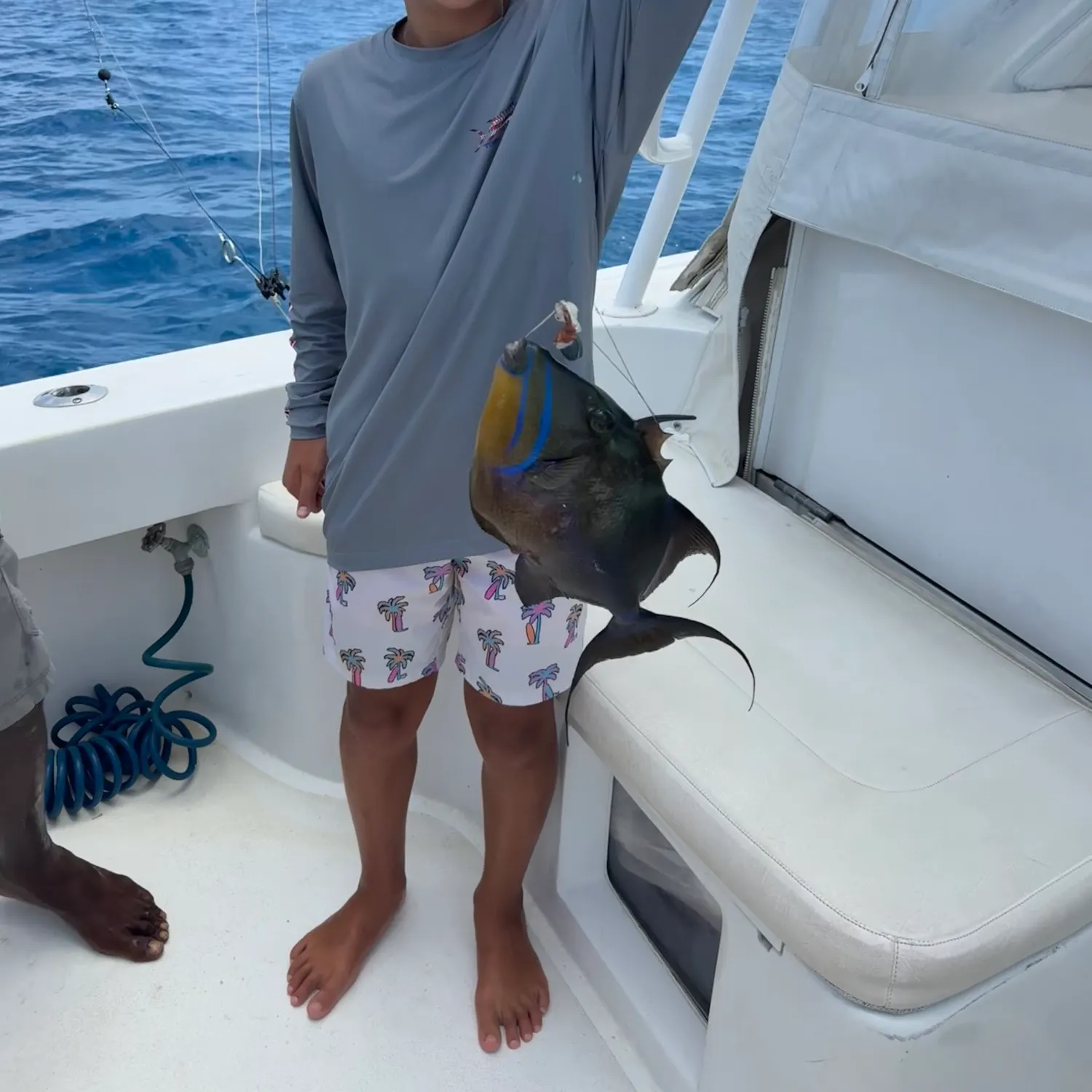 Queen triggerfish caught on Fishbrain