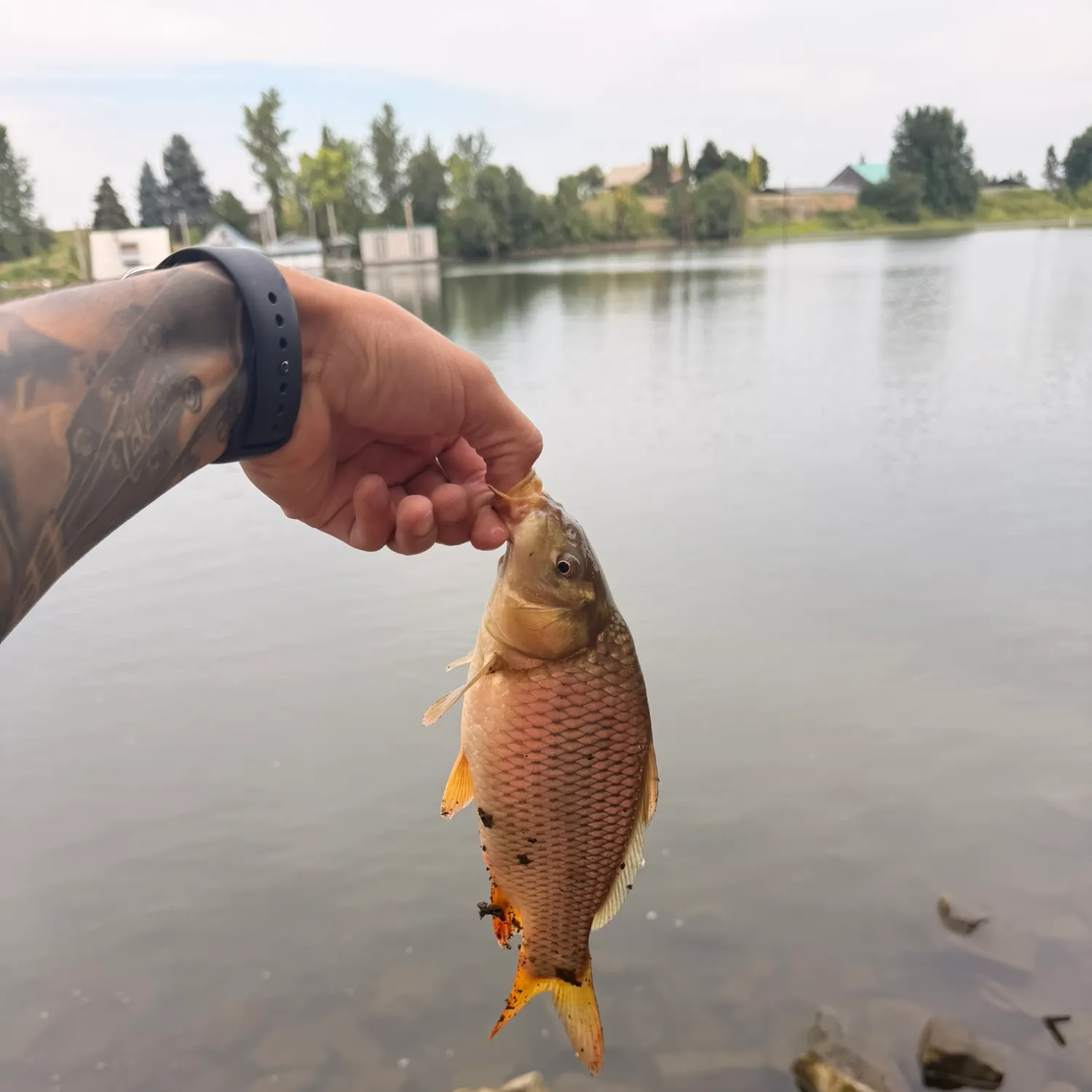 catch