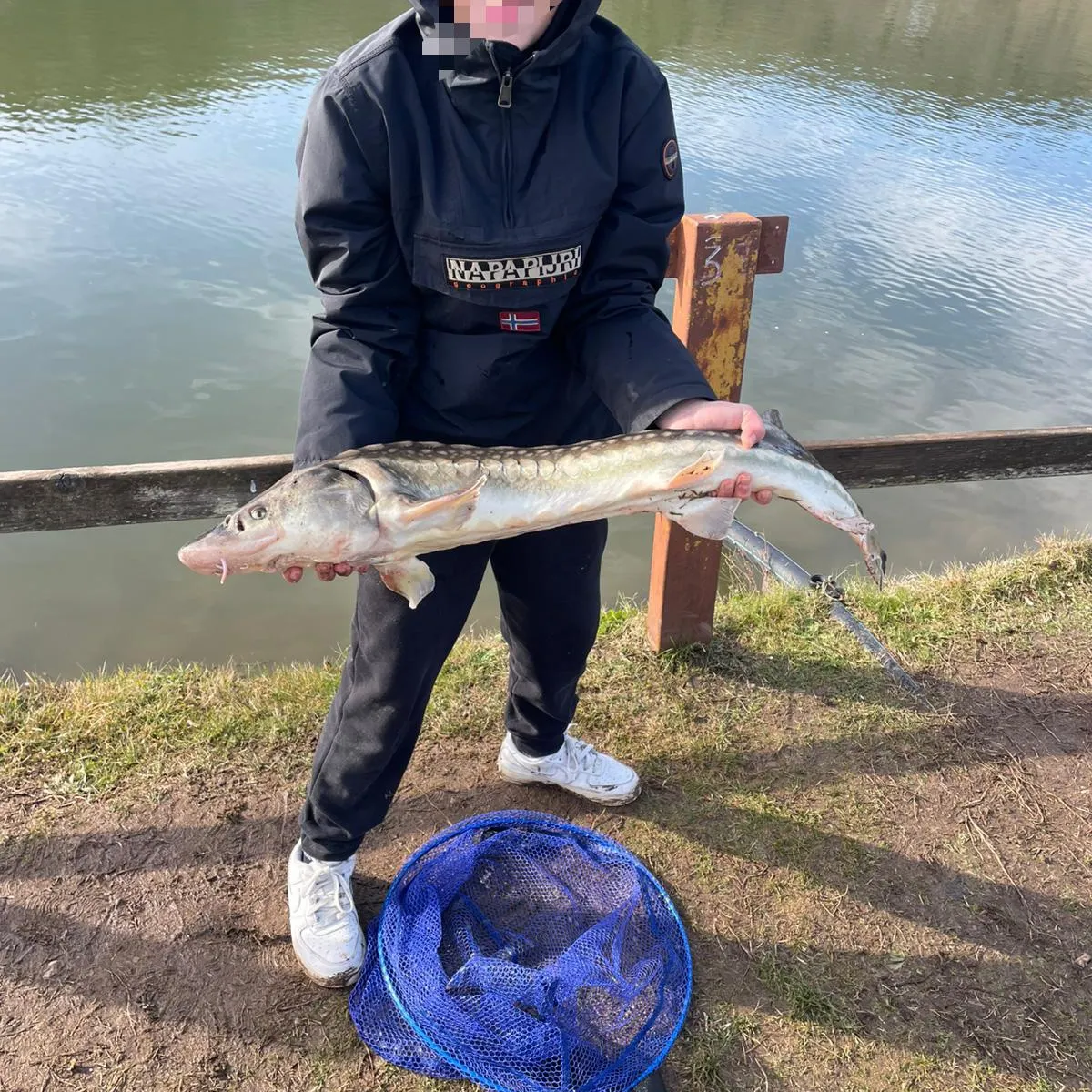 The most recent White sturgeon catches on Fishbrain