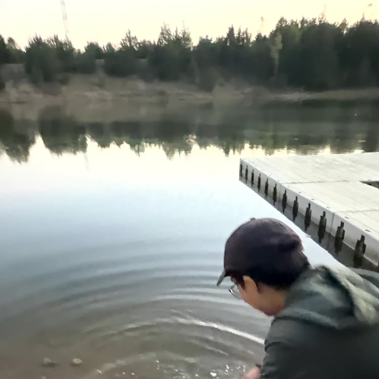 Channel catfish caught on Fishbrain