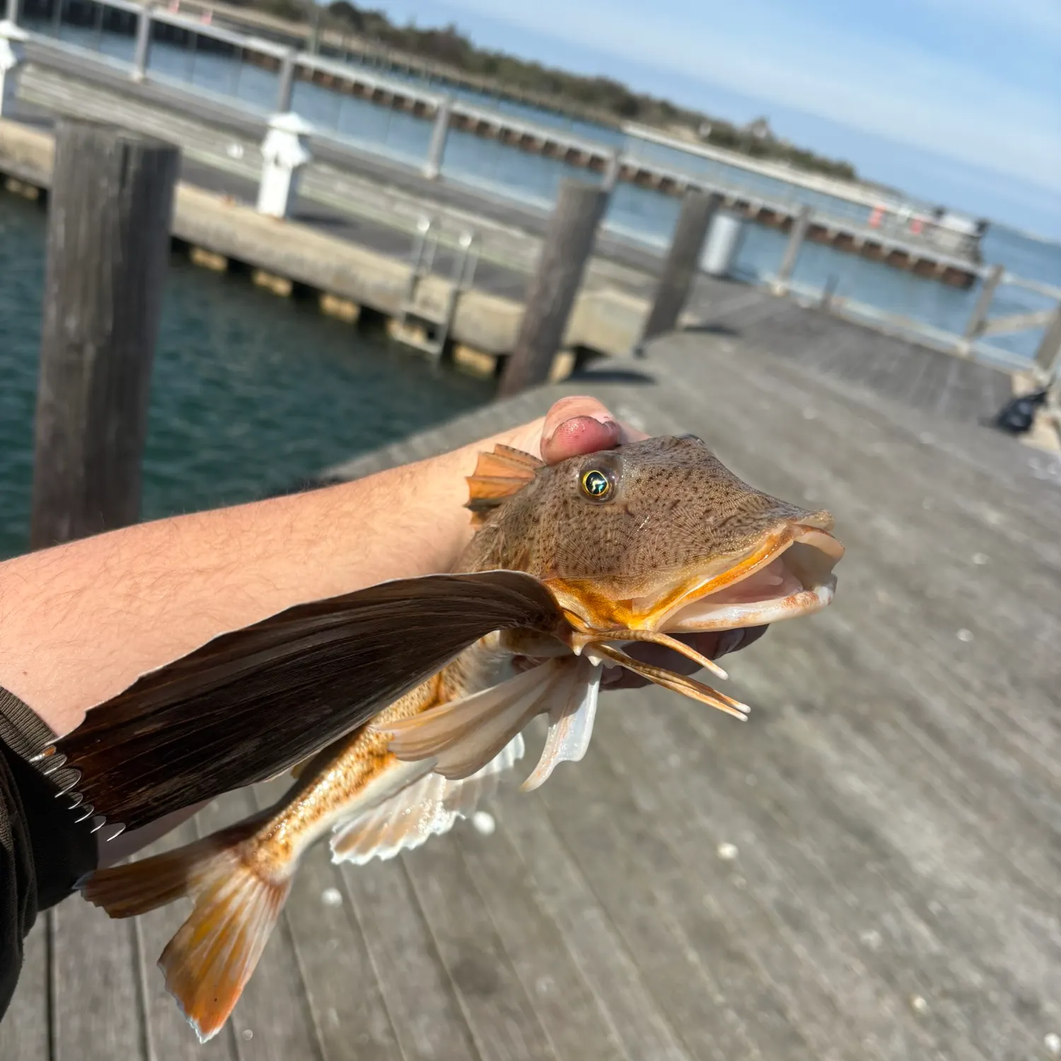 catch