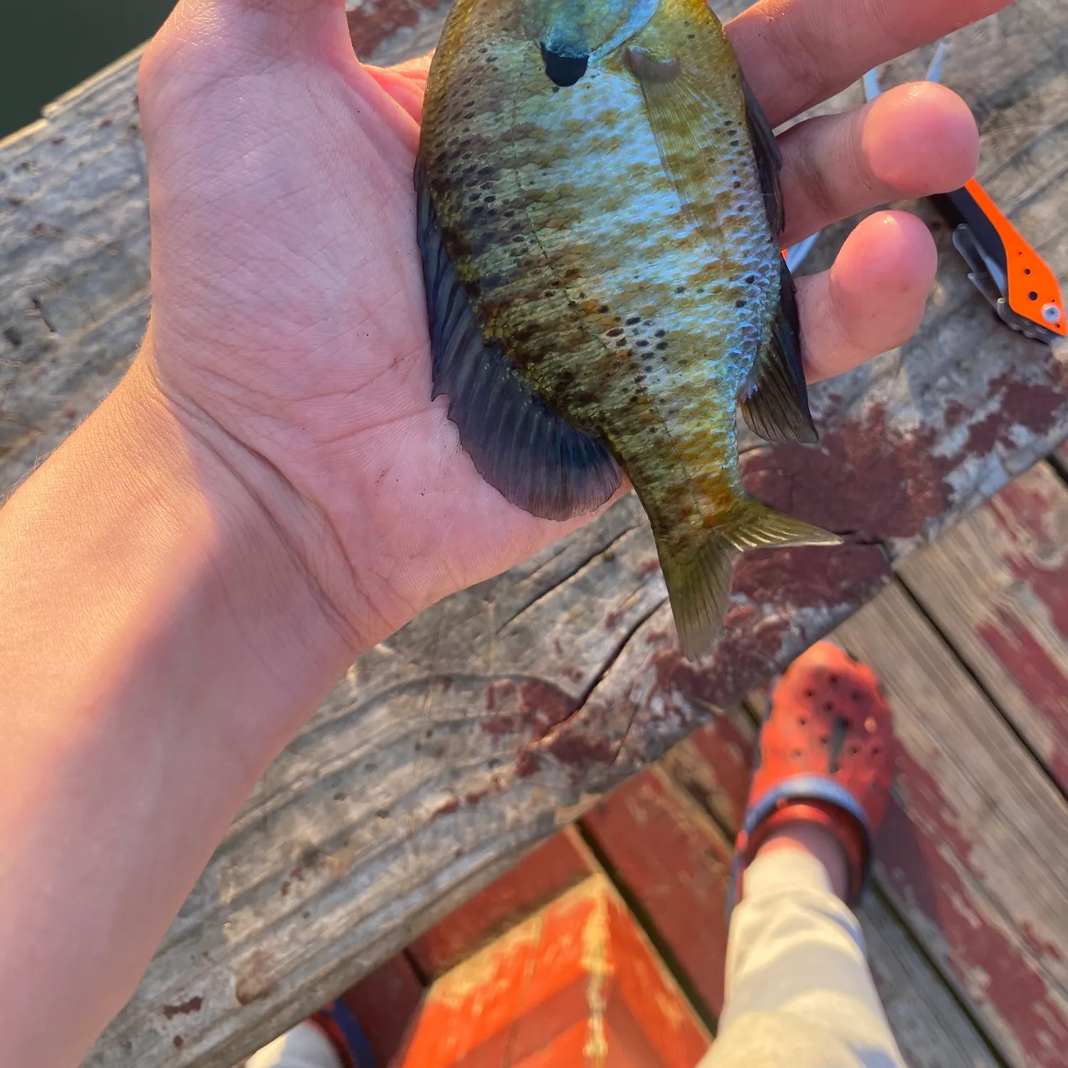 catch