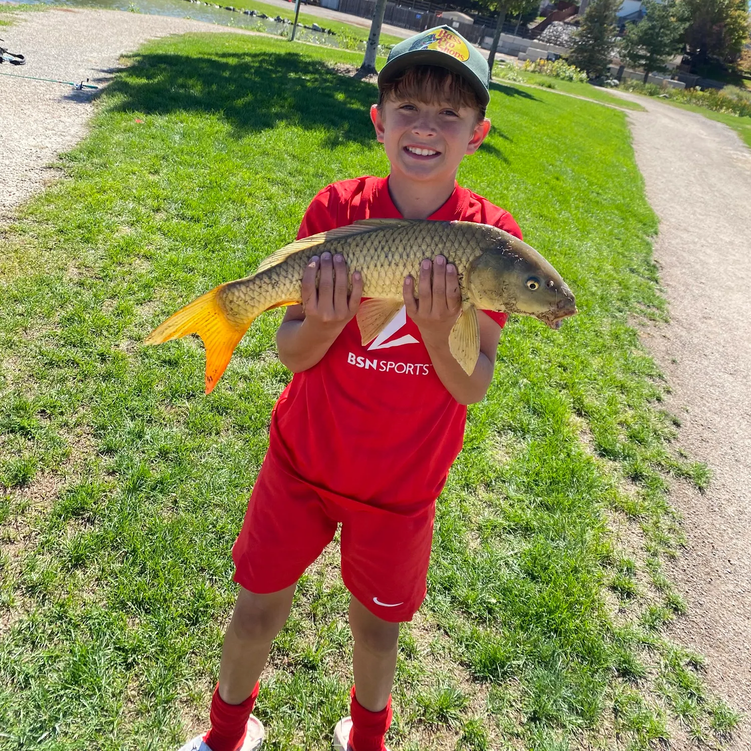 Common carp caught on Fishbrain