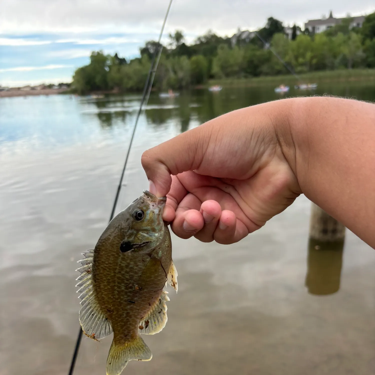 catch