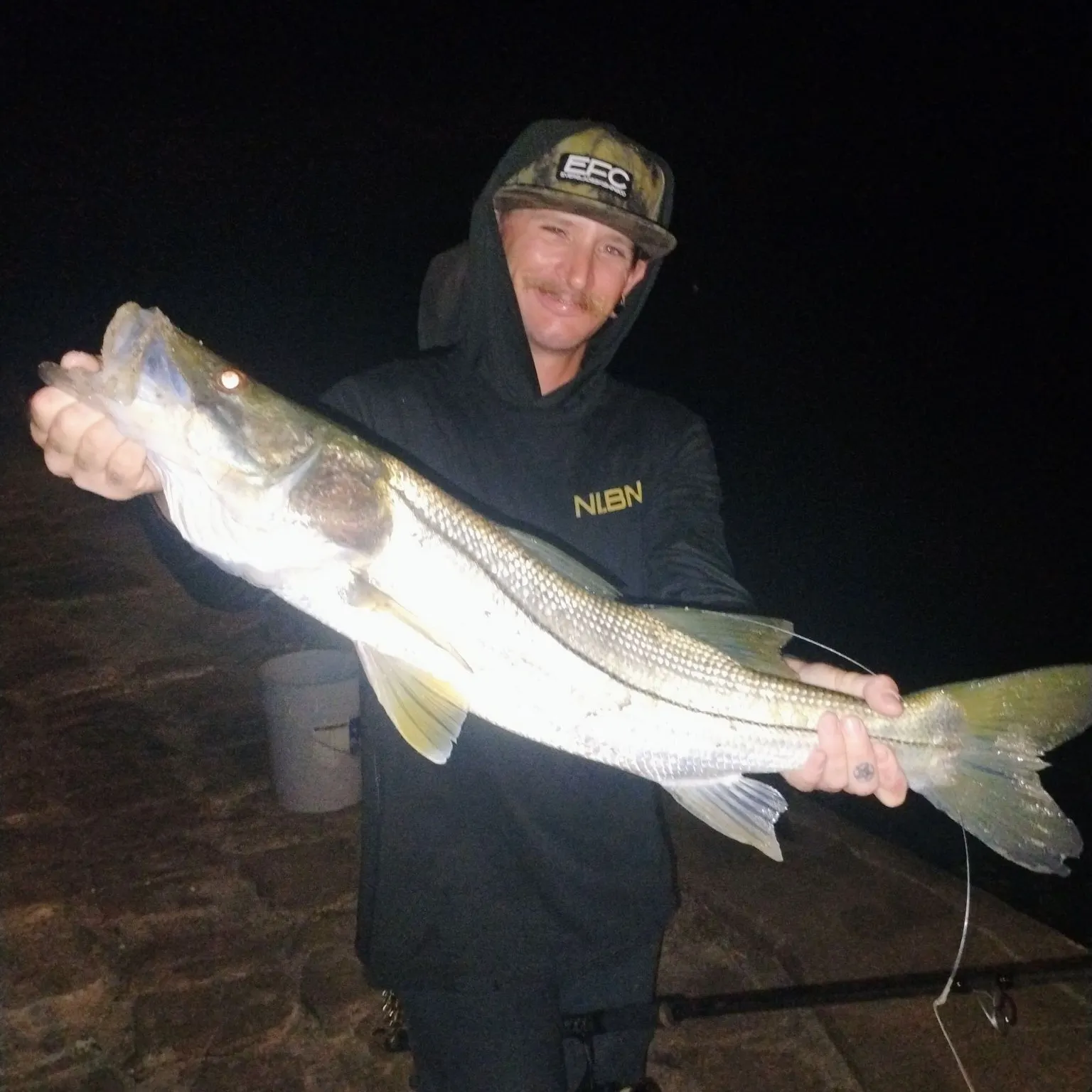 Common snook caught on Fishbrain