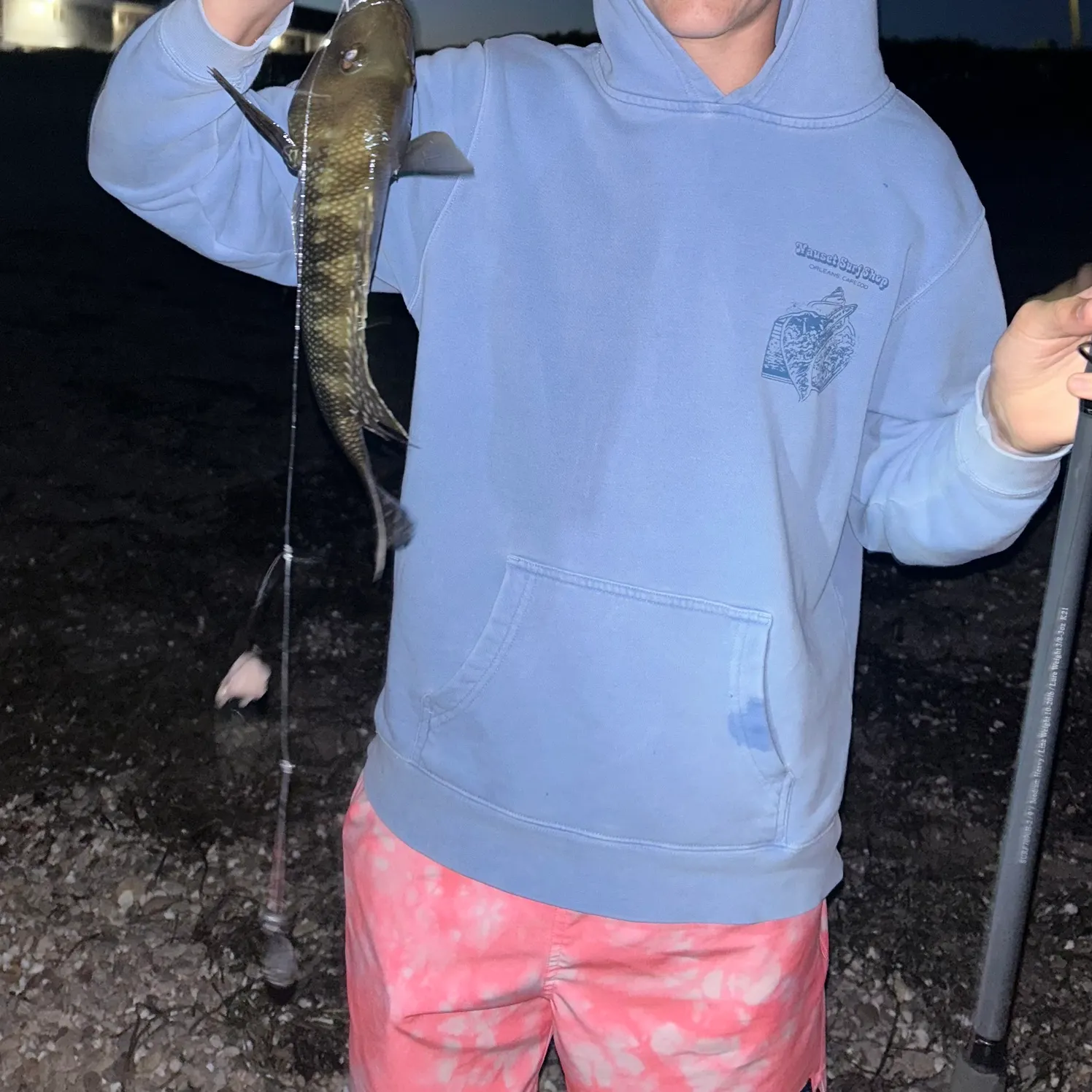 The most recent Black sea bass catches on Fishbrain