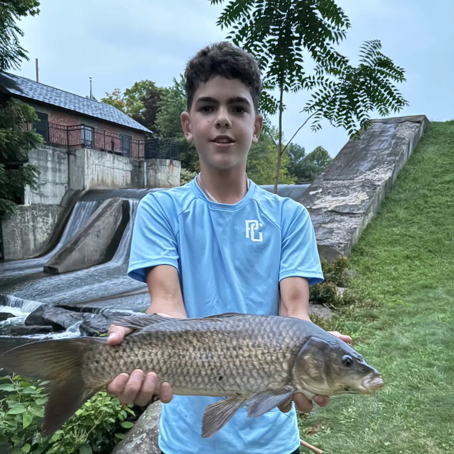 Common carp caught on Fishbrain