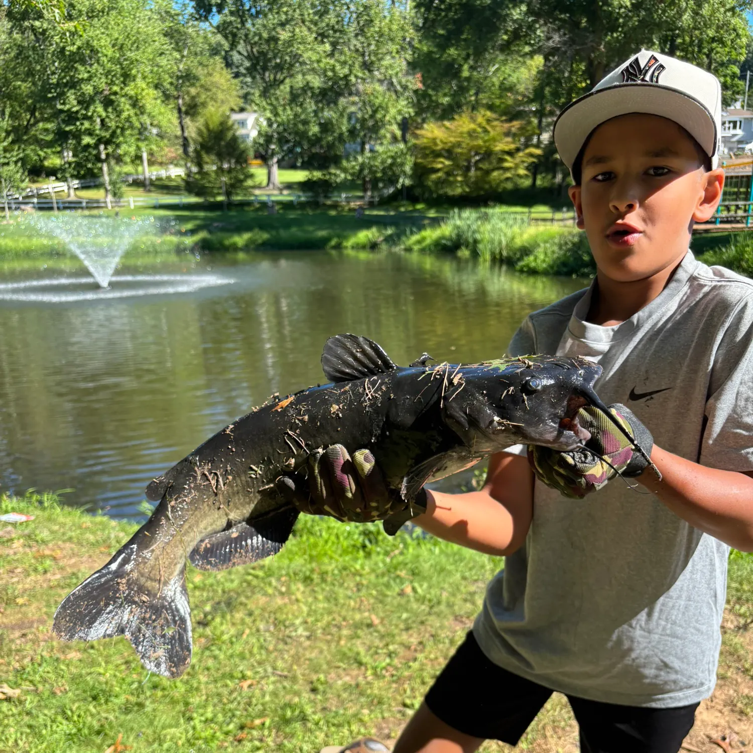 Channel catfish caught on Fishbrain