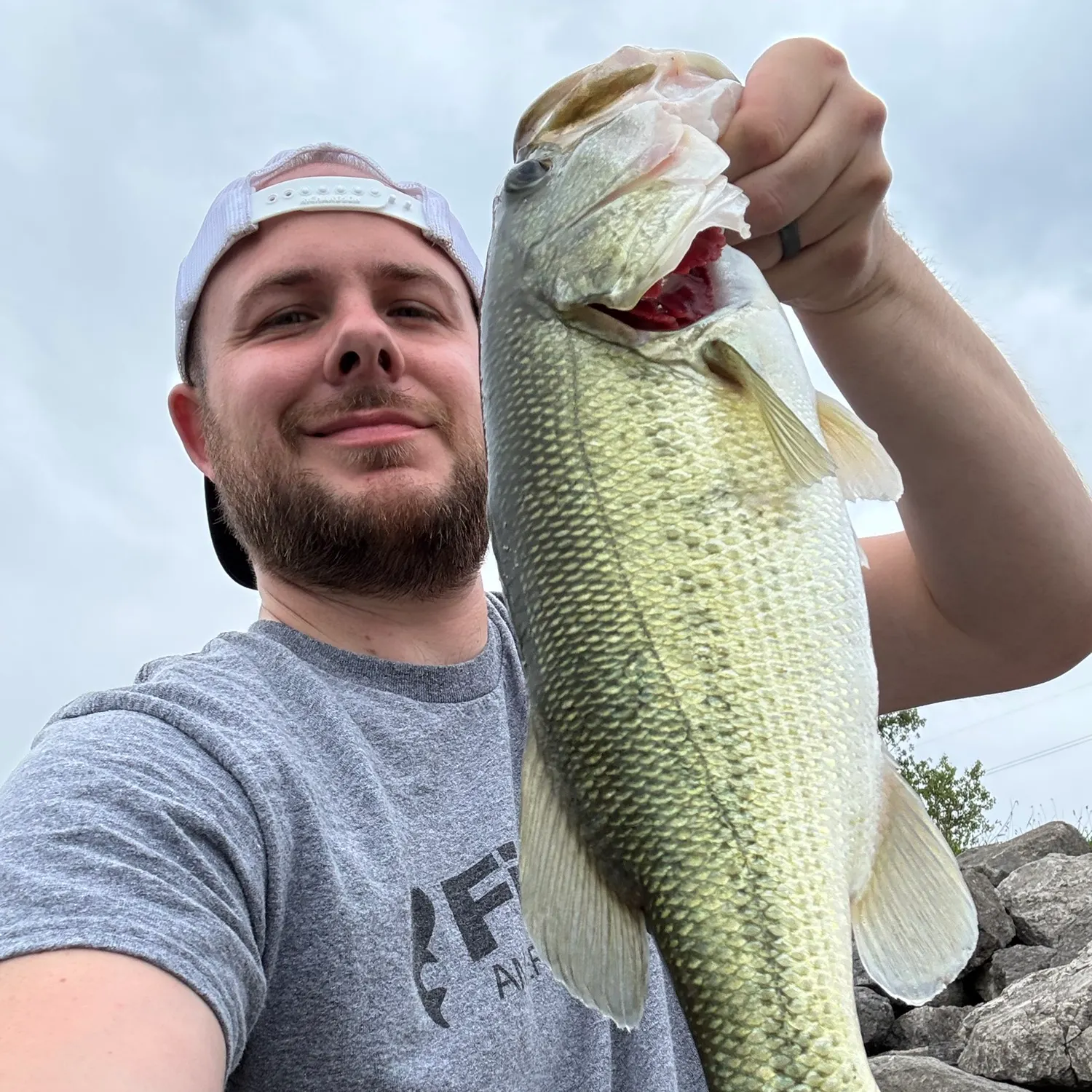 Largemouth bass caught on Fishbrain