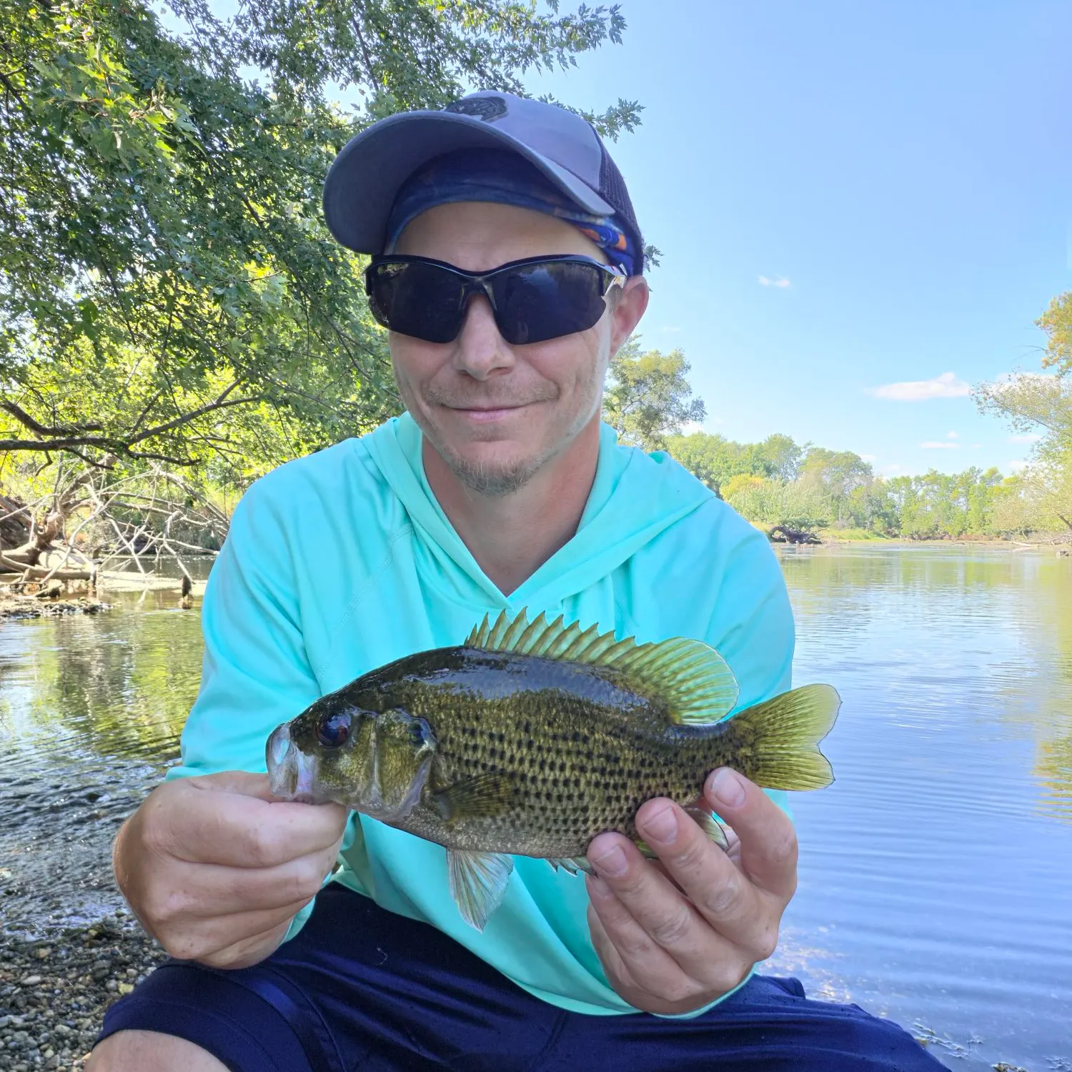 Rock bass caught on Fishbrain
