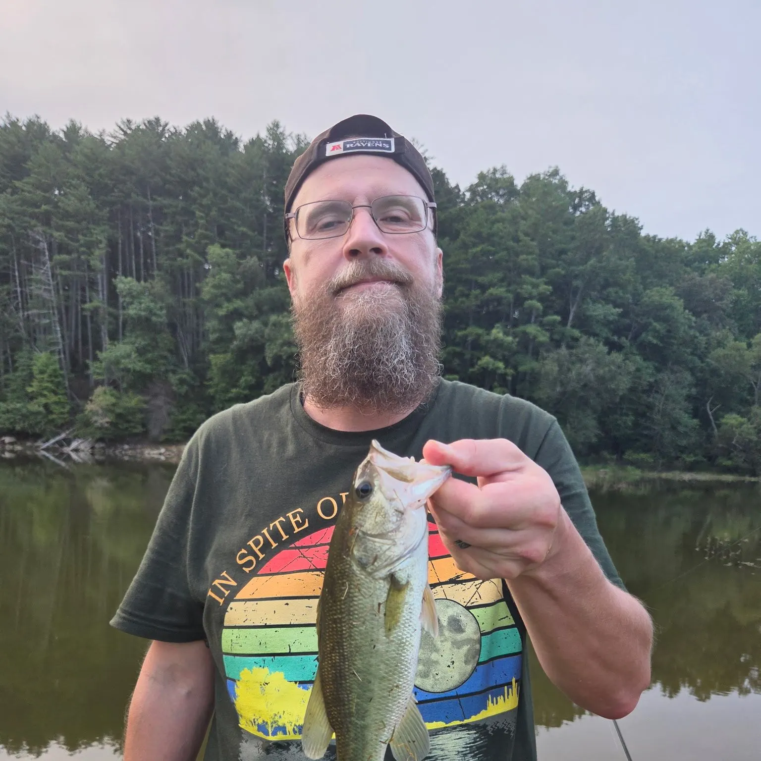 Spotted bass caught on Fishbrain