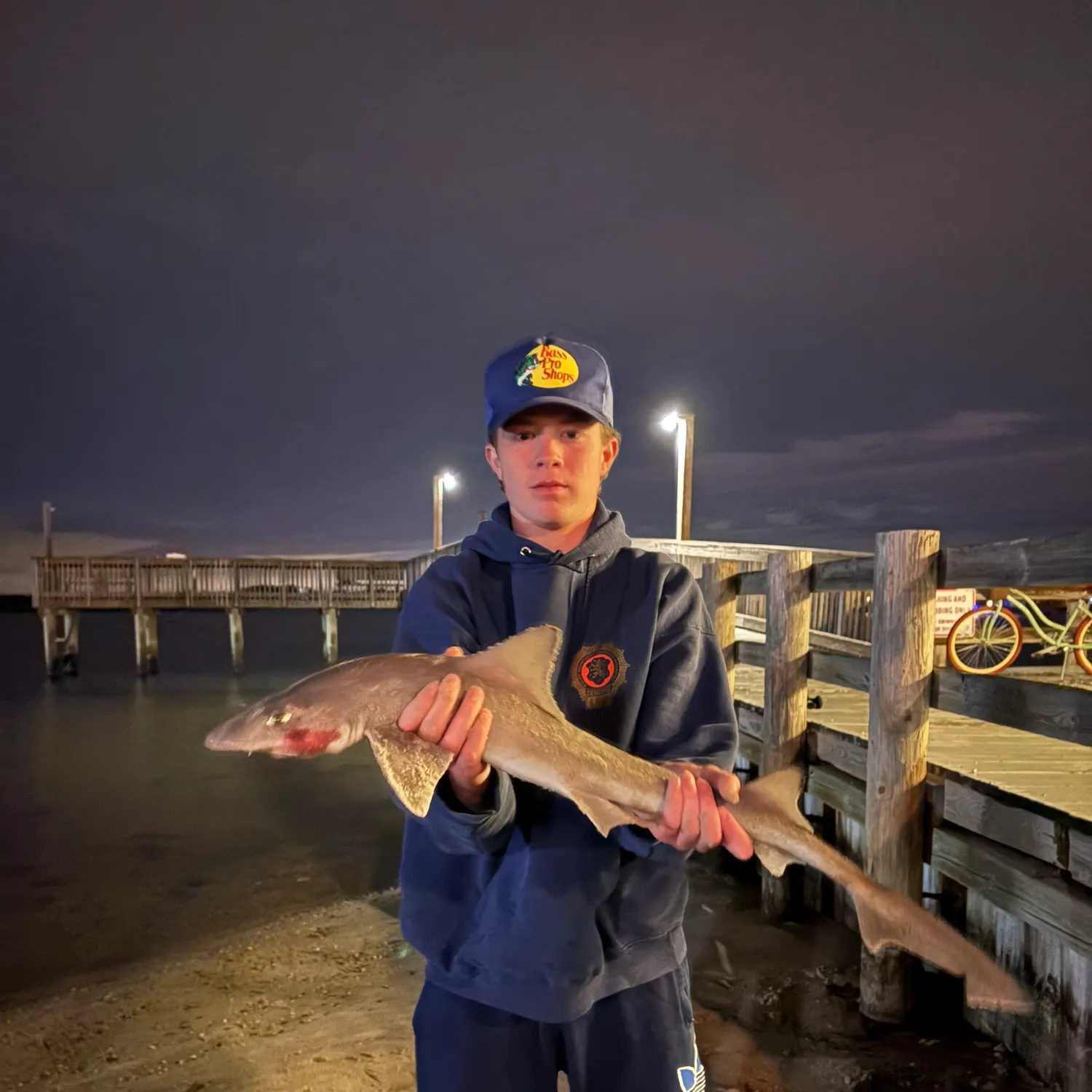 The most recent Dusky smooth-hound catches on Fishbrain