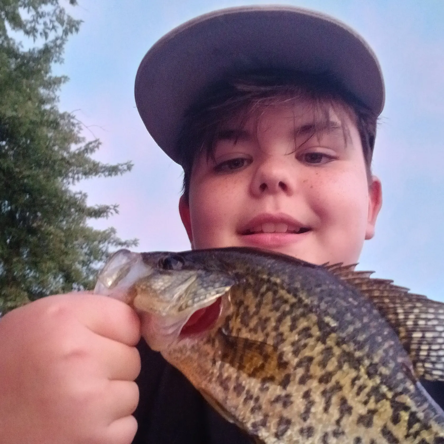 Black crappie caught on Fishbrain