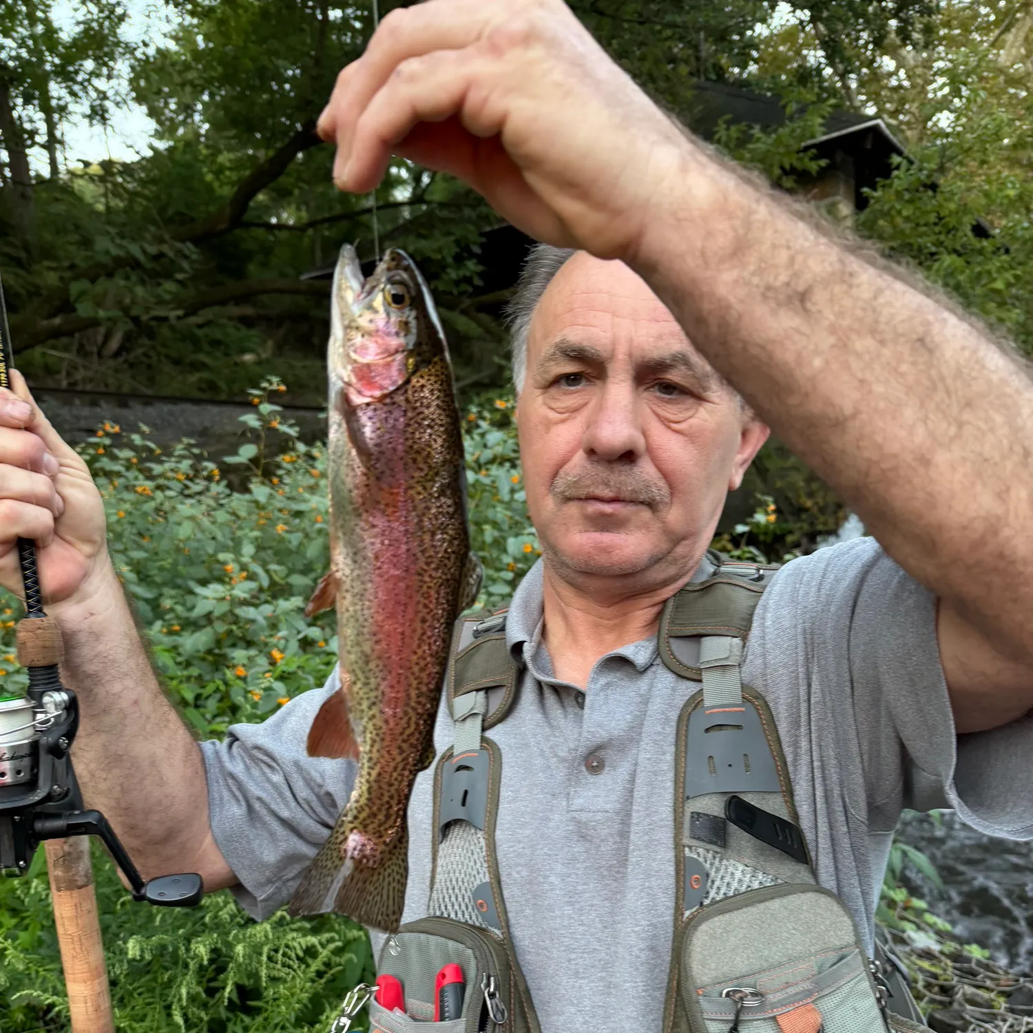 Rainbow trout caught on Fishbrain