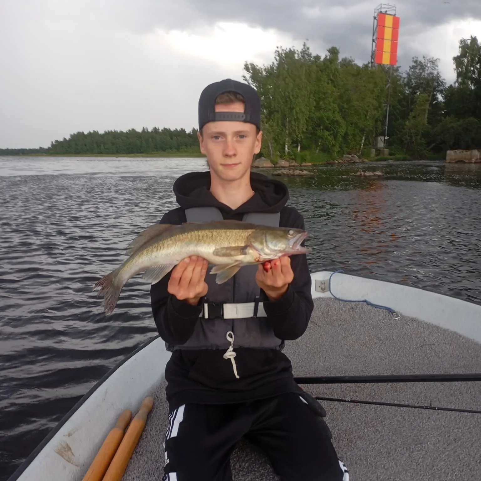 The most recent Zander catches on Fishbrain